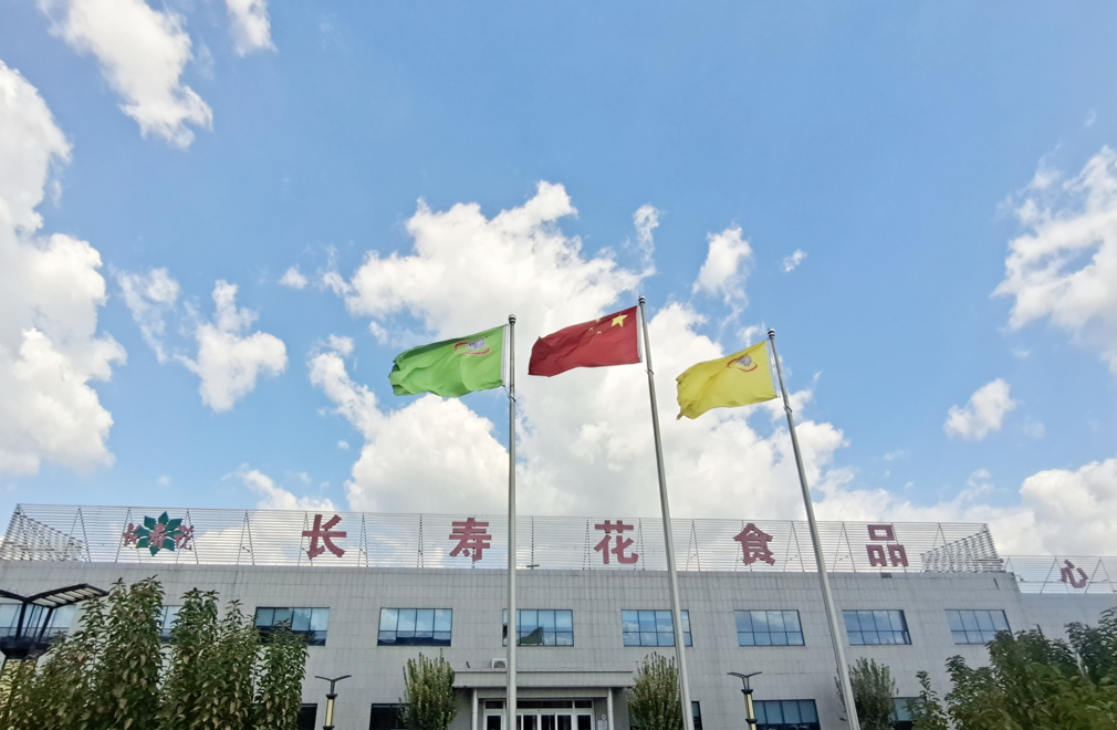 在一线|小“菜园”里的大“智慧”